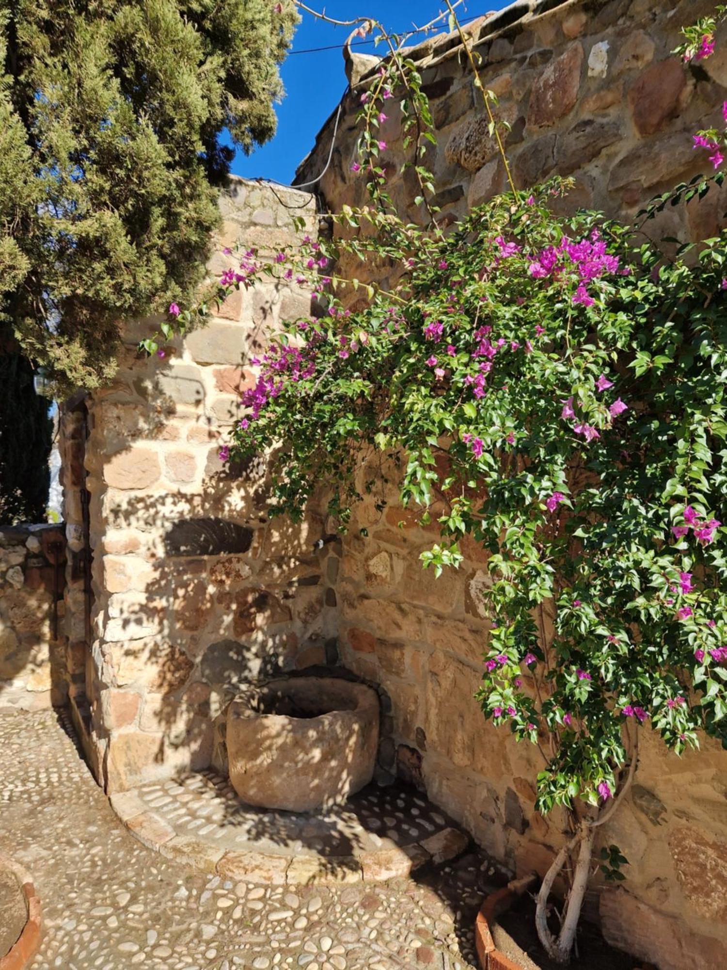 Colonos Alojamientos Rurales Guarroman Екстер'єр фото